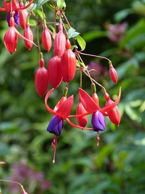 ’Grazie’ Foto: Wolfram Hänel