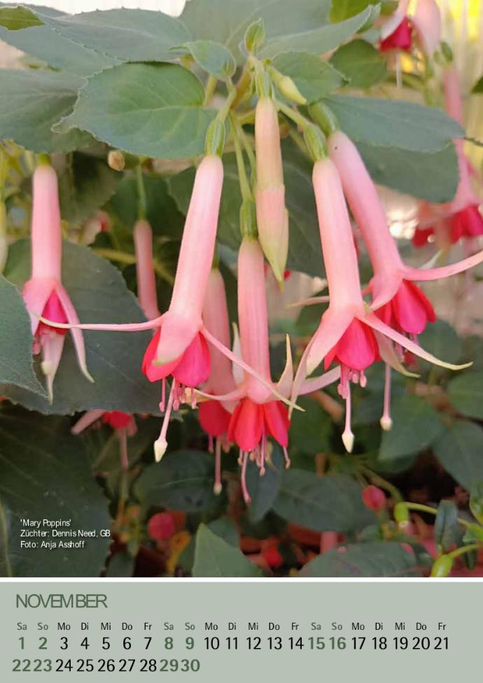 'Mary Poppins' Foto: Anja Asshoff.