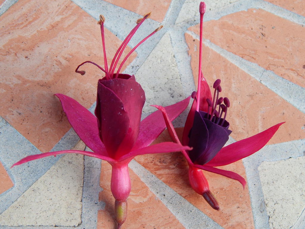 Freundeskreis Dortmund