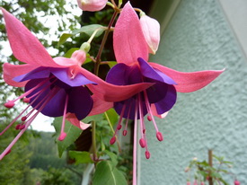 Bürgerm. Josef Schinagl