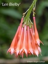 Len Bielby