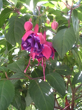 Landeshauptstadt St.Pölten