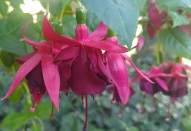 Hannelore und Herbert