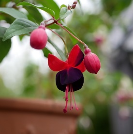 Gruß aus dem Bodethal