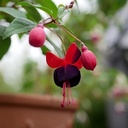 Gruß aus dem Bodethal