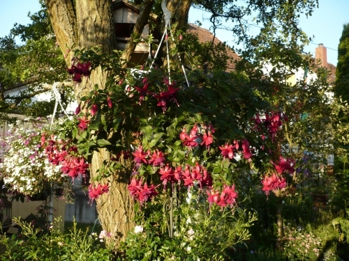 President George Bartlett