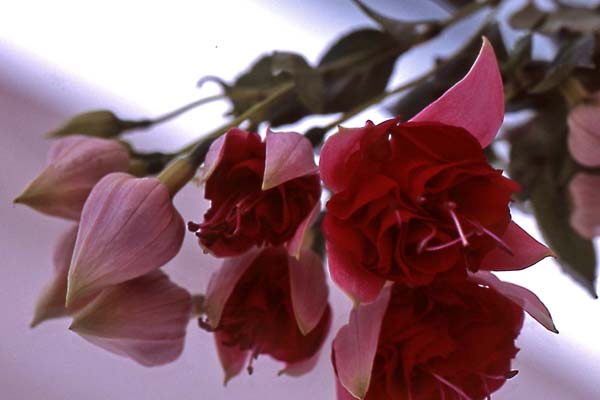 Bürgermeister Uwe Schneider