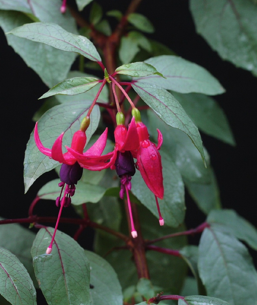 Freundeskreis Nürnberg