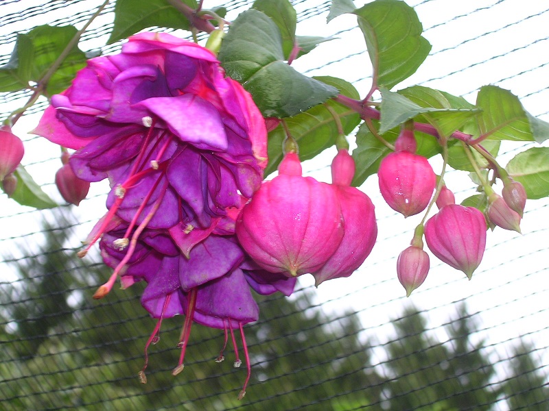 Landeshauptstadt St.Pölten