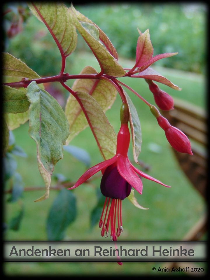 Andenken an Reinhard Heinke