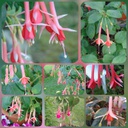 Freundeskreis Tauber Hohenlohe