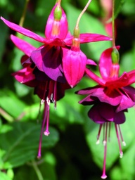 Kastell  van Rullingen