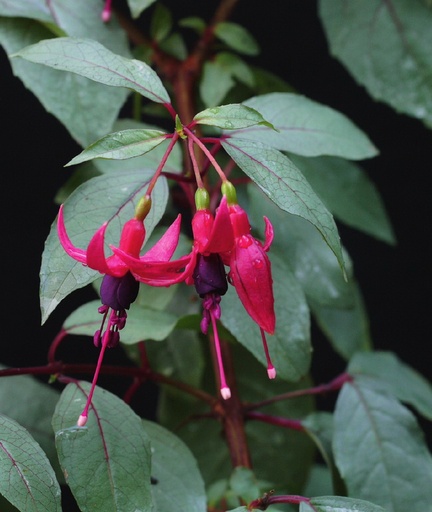 Freundeskreis Nürnberg