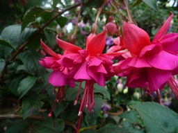 Christine und Klaus Harnisch