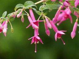 Freundeskreis Hannover