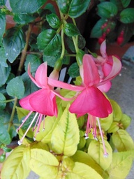 Kleine Bühne Fichtelgebirge