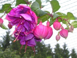 Landeshauptstadt St.Pölten