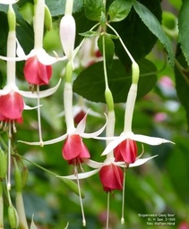 Bürgermeister Georg Beier