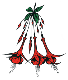 Deutsche Fuchsien-Gesellschaft e.V.