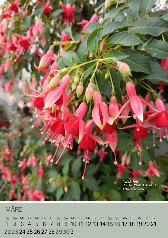 'Isabell Reim' Foto: Anja Asshoff.