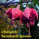 Christel Sembach Krone