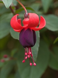 Gruß aus dem Bodethal